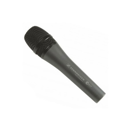 Micro-Sennheiser-E-817