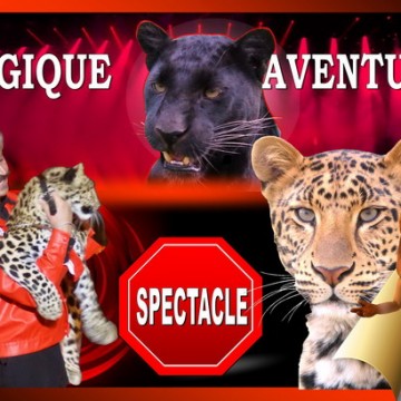 Foxy-2-Magicien-Spectacle-Illusionniste